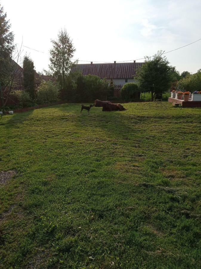 B&B Zrodlana 46 Olszyna  ภายนอก รูปภาพ